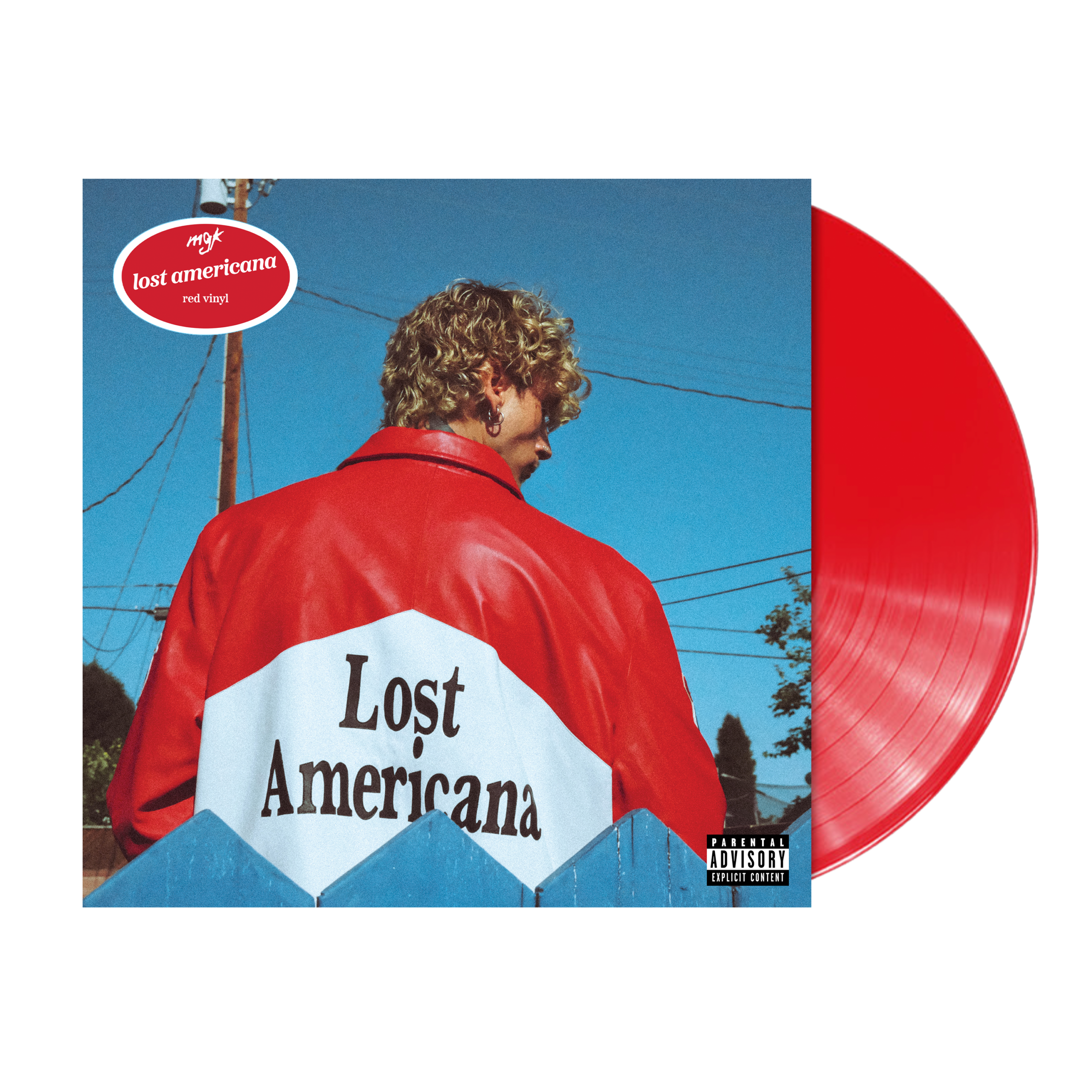 mgk-vinyl-standard.png